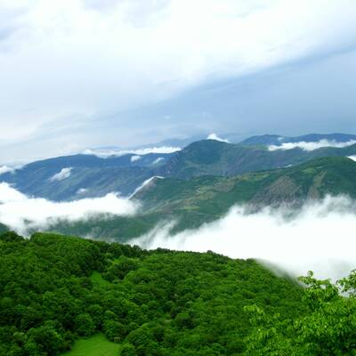 Arasbaran Forest 